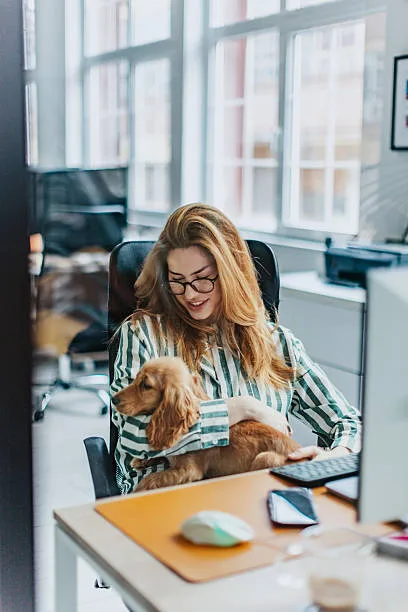 Model 270 - Image 3